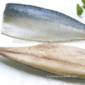 Poisson congelé chinois Pacific Pacific Mackerel Filet